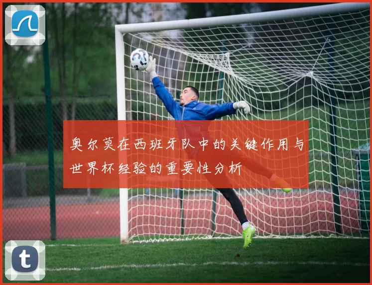 奥尔莫在西班牙队中的关键作用与世界杯经验的重要性分析